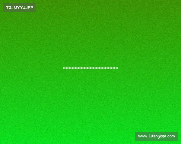 吉利参加拉力赛、吉利以强劲实力角逐世界顶级汽车赛事书写中国品牌辉煌新篇章